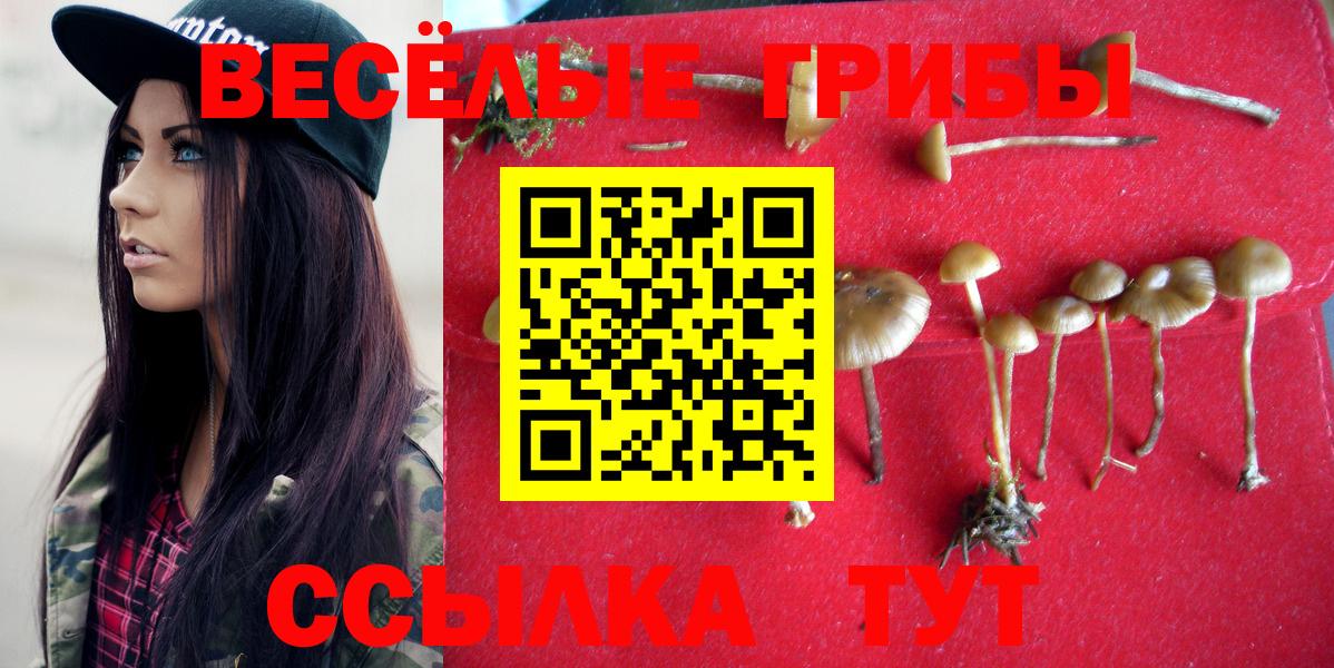Балабаново  Псилоцибиновые грибы Psilocybine cubensis  Вход с VPN 